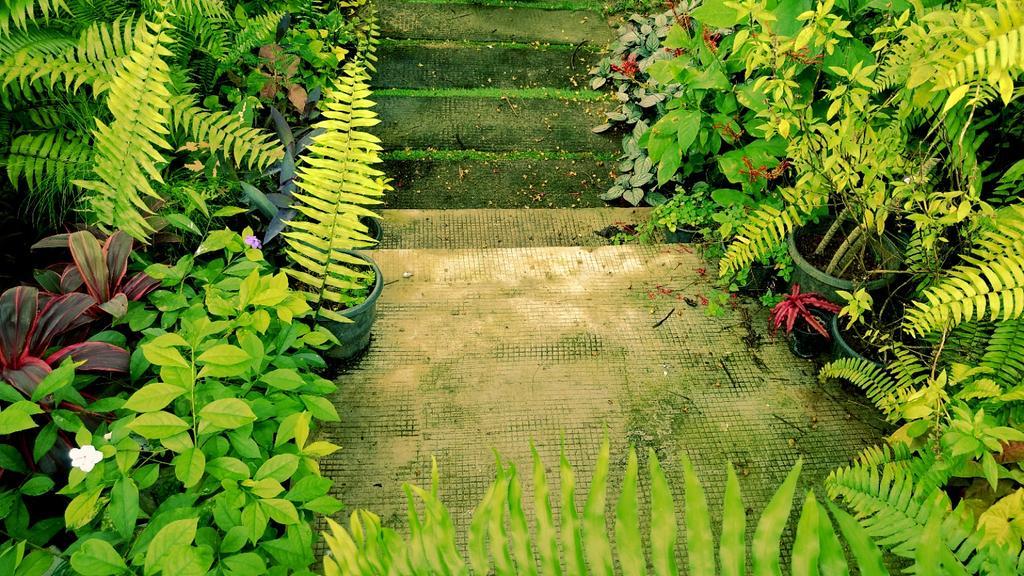 Villa Mariana Kochi Buitenkant foto